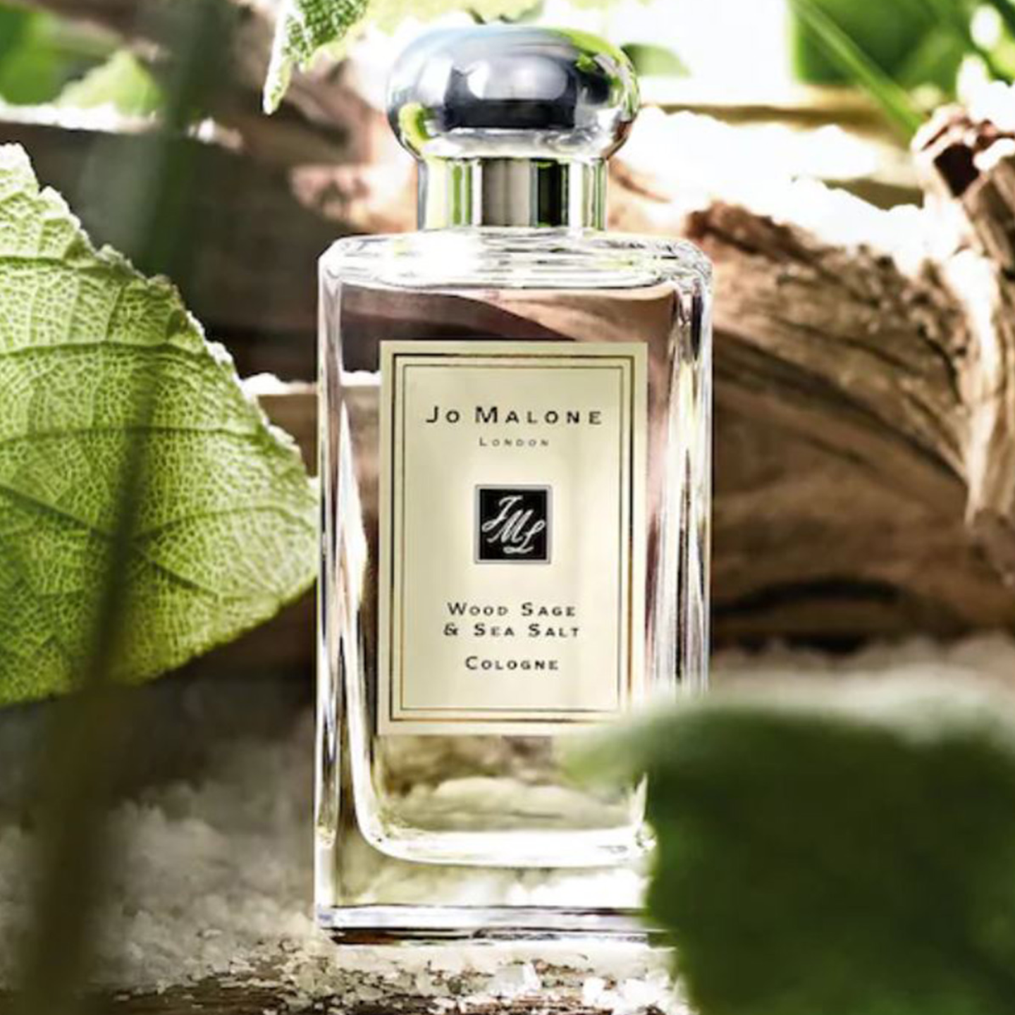 Wood Sage and Sea Salt