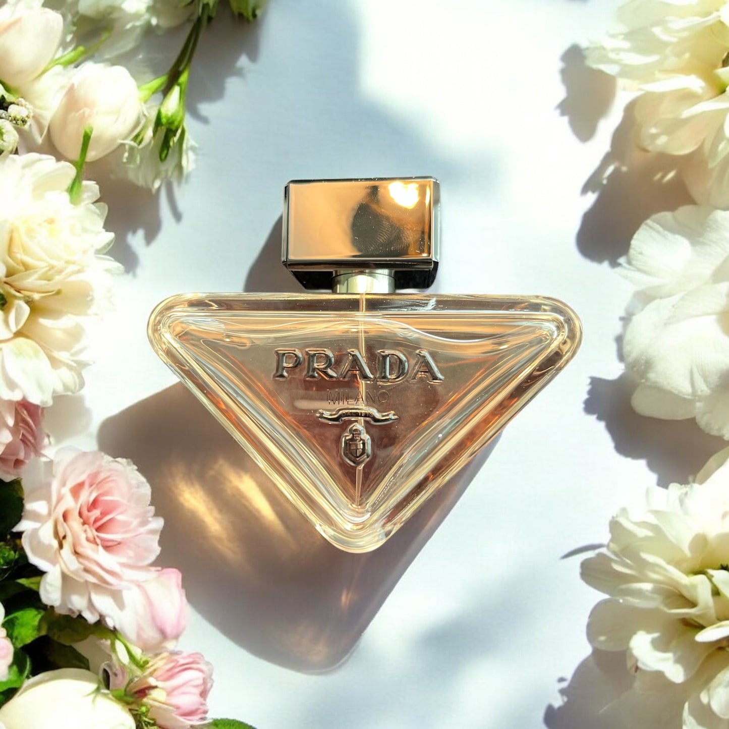 Prada Paradoxe